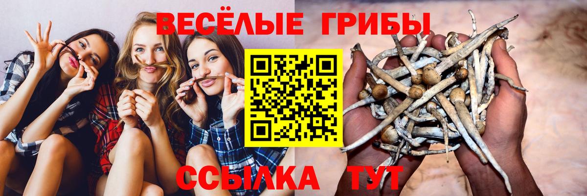 Галлюциногенные грибы Psilocybine cubensis  купить наркотики сайты  Нефтекамск  Вход с VPN 